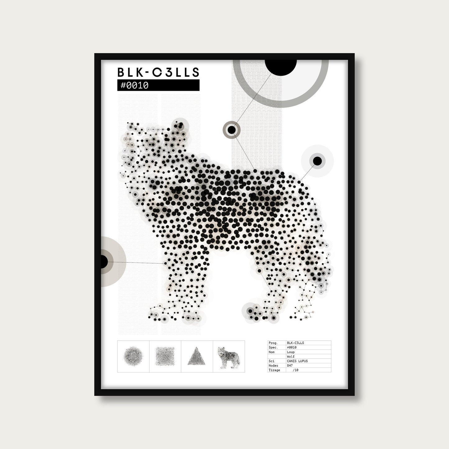 0010 loup - Planche de specimen - mockup cadre