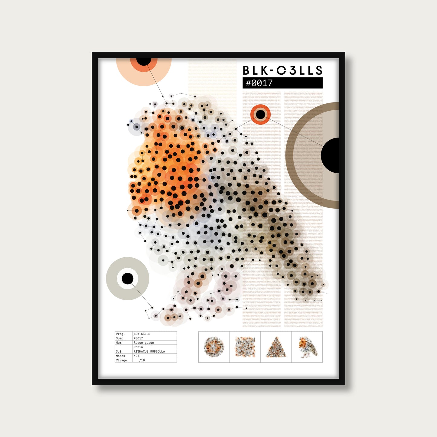 0017 rouge-gorge - Planche de specimen - mockup cadre