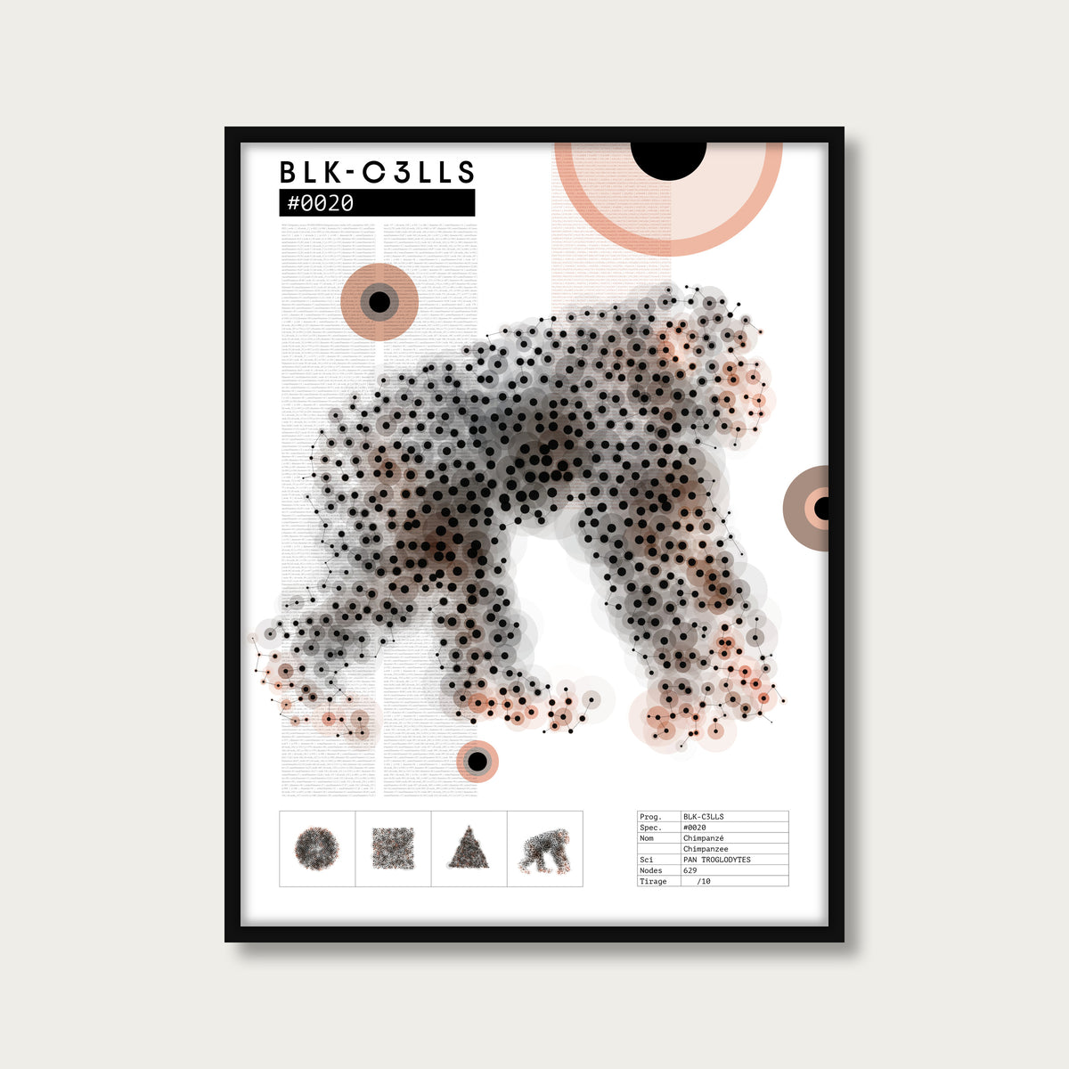 0020 chimpanze - Planche de specimen - mockup cadre