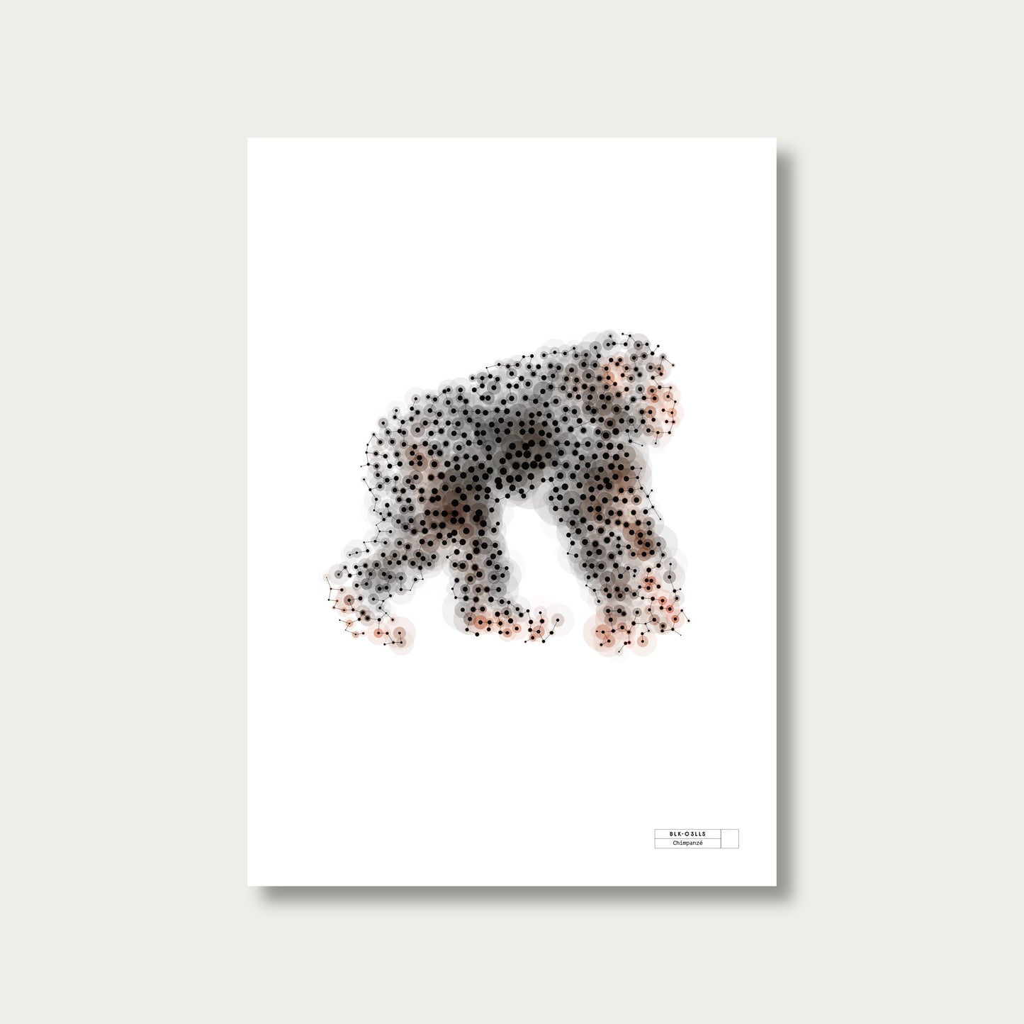 BLK-C3LLS-Chimpanze - mockup sans cadre