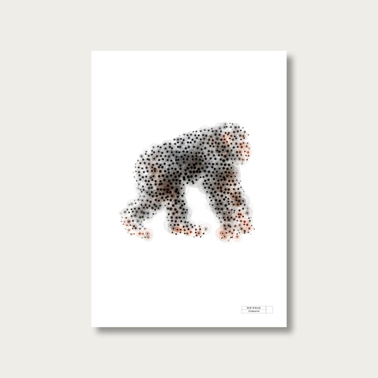 BLK-C3LLS-Chimpanze - mockup sans cadre