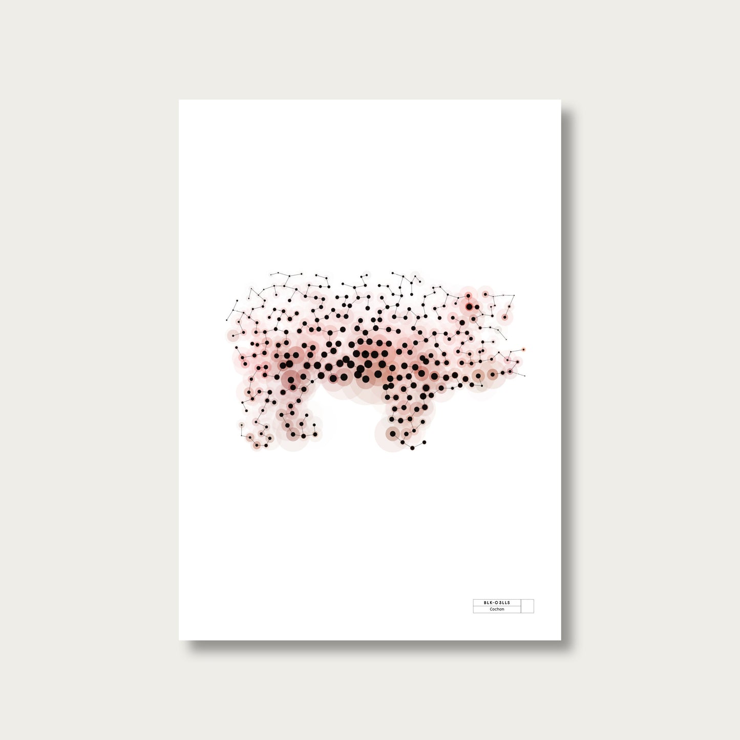 BLK-C3LLS-Cochon - mockup sans cadre
