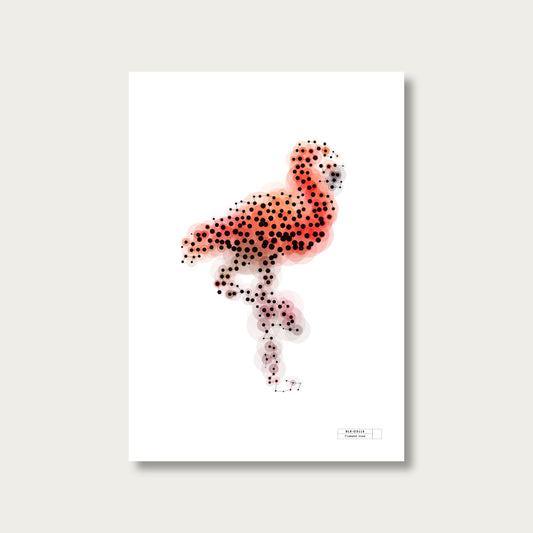 BLK-C3LLS-Flamand-rose - mockup sans cadre