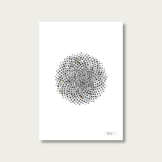 BLK-C3LLS-Goelan-bis - mockup sans cadre