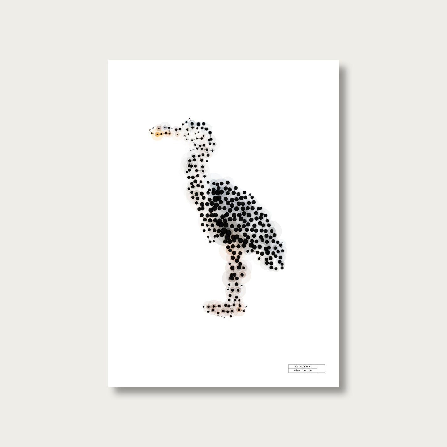 BLK-C3LLS-Heron - mockup sans cadre