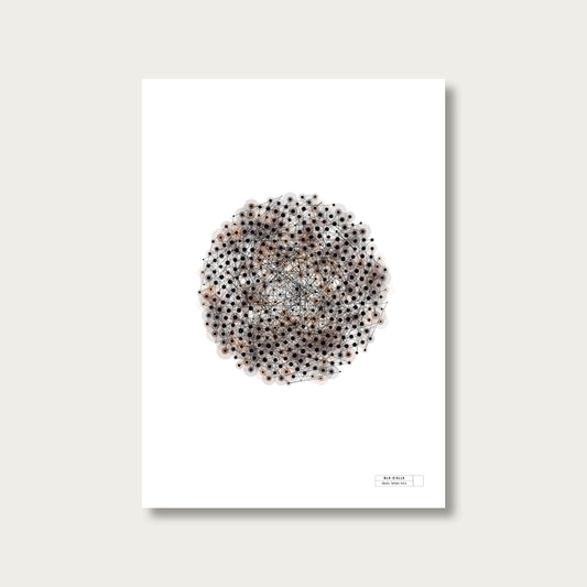 BLK-C3LLS-Ours-Brun-bis - mockup sans cadre