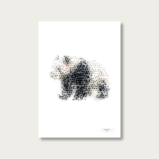 BLK-C3LLS-Panda - mockup sans cadre