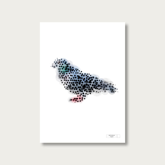 BLK-C3LLS-Pigeon - mockup sans cadre
