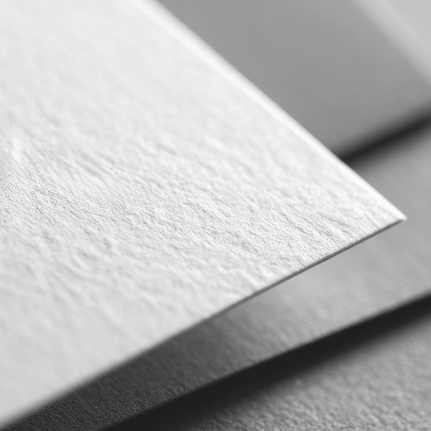 CR1 - Animaux précieux - Cheval