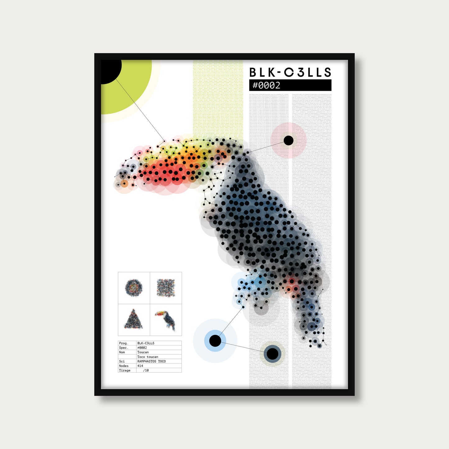 BLK-C3LLS-0002-TOUCAN-Planche de specimen - poster cadre