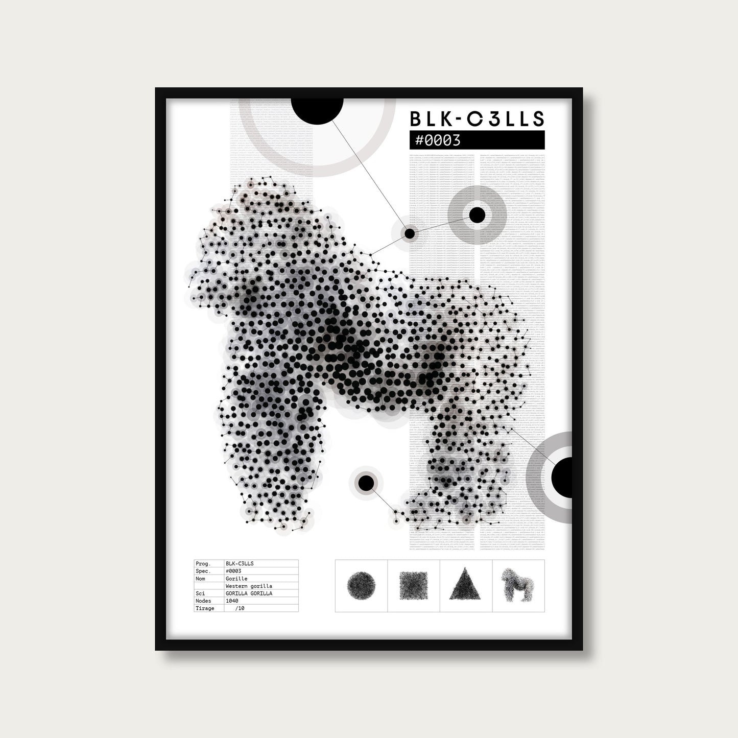 BLK-C3LLS-0003-GORILLE-Planche de specimen - poster cadre