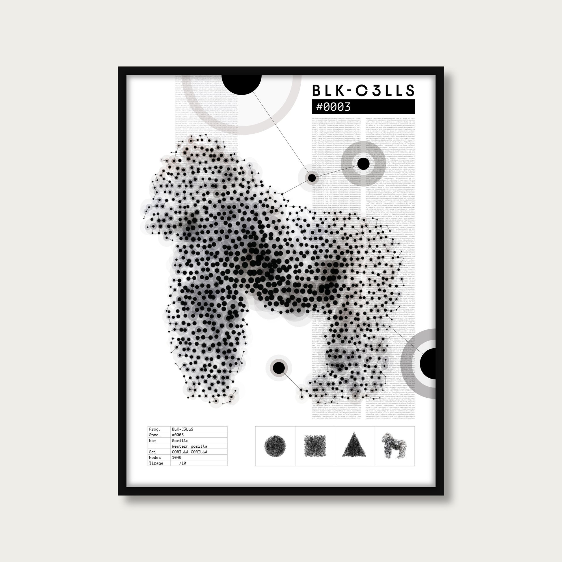 BLK-C3LLS-0003-GORILLE-Planche de specimen - poster cadre