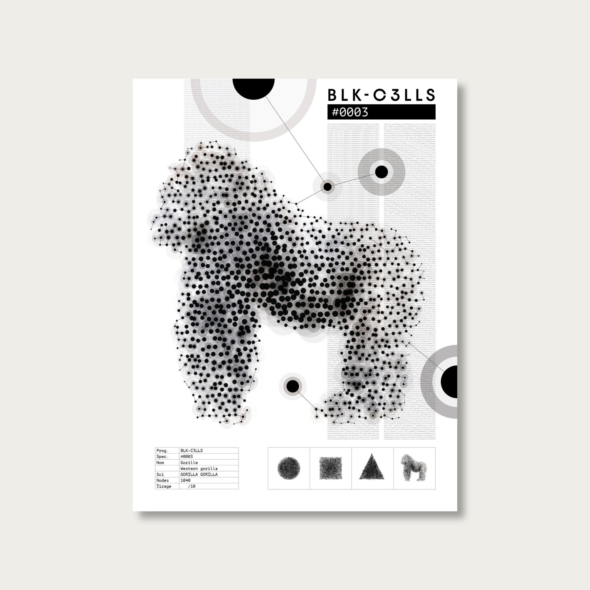 BLK-C3LLS-0003-GORILLE-Planche de specimen - poster sans cadre