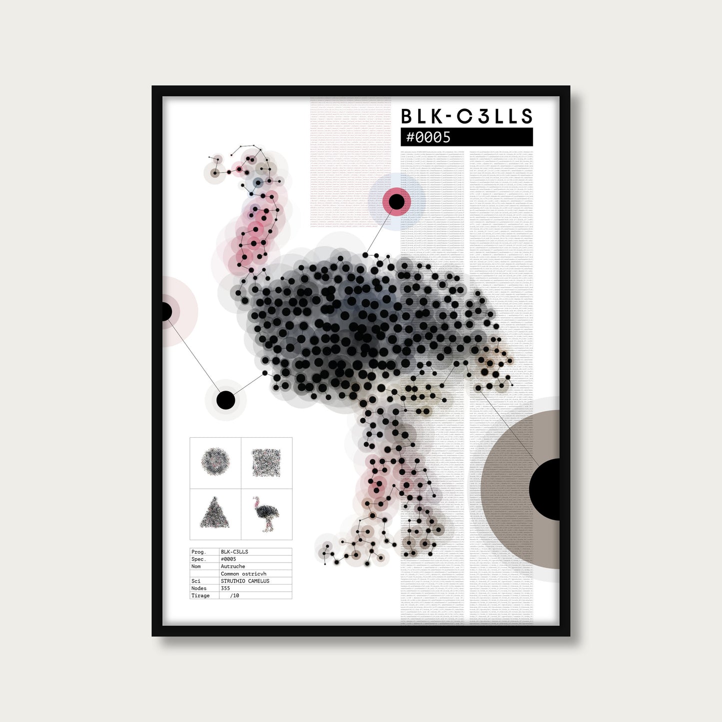 BLK-C3LLS-0005-AUTRUCHE-Planche de specimen - poster cadre