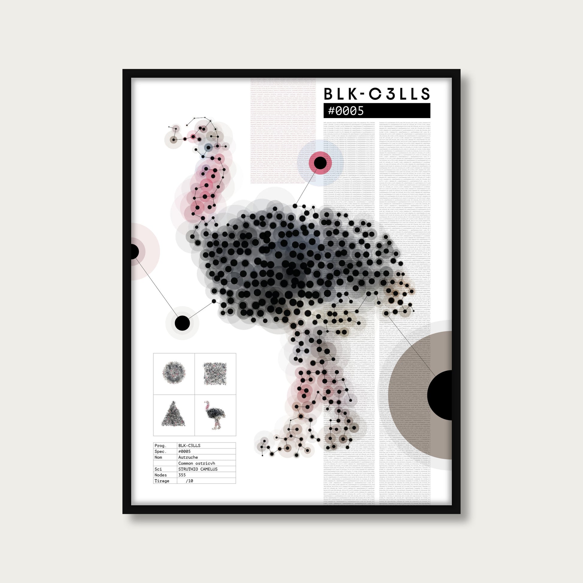 BLK-C3LLS-0005-AUTRUCHE-Planche de specimen - poster cadre