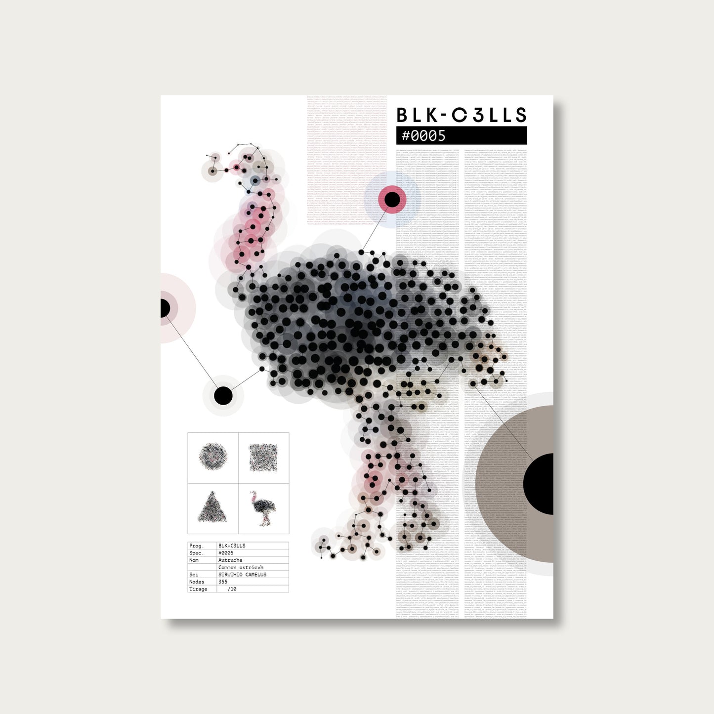 BLK-C3LLS-0005-AUTRUCHE-Planche de specimen - poster sans cadre