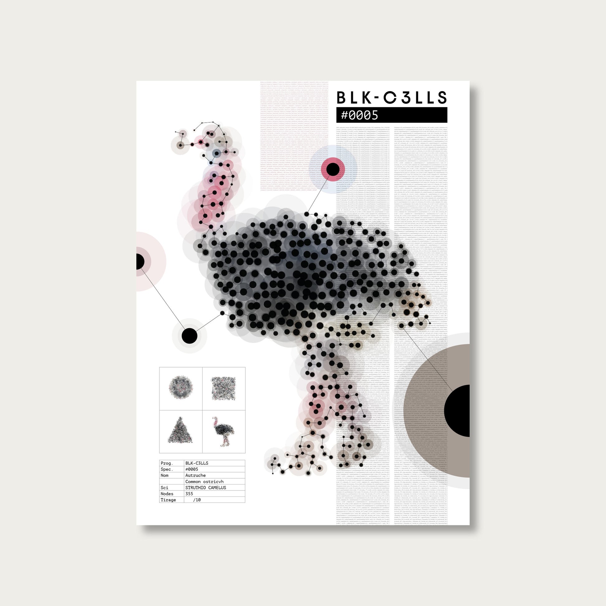 BLK-C3LLS-0005-AUTRUCHE-Planche de specimen - poster sans cadre