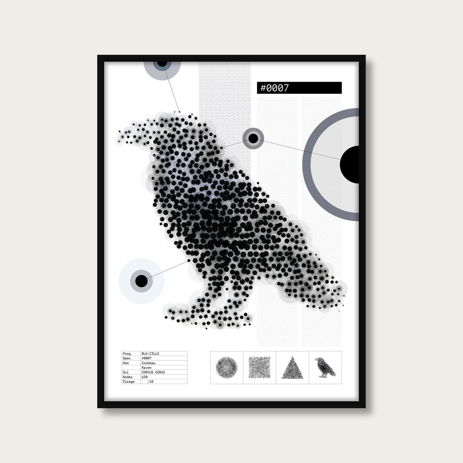 0007 corbeau - Planche de specimen - mockup cadre