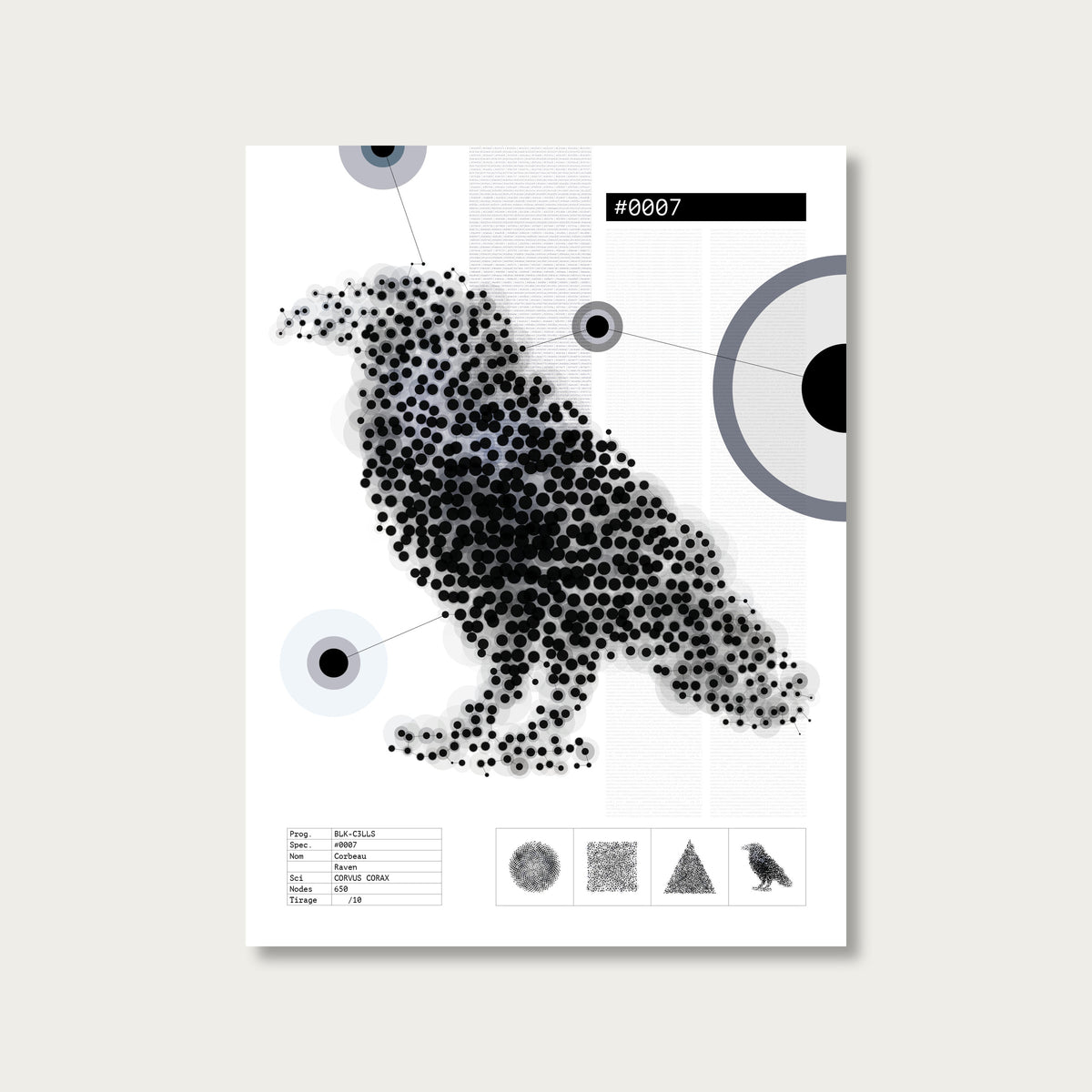 0007 corbeau - Planche de specimen 60x80/90x120 - image variante