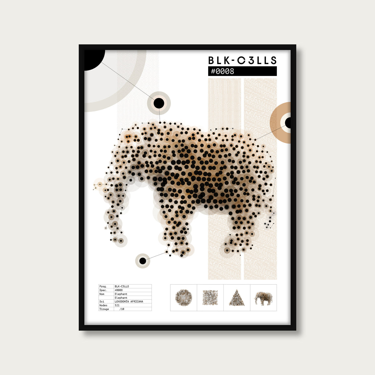 0008 elephant - Planche de specimen - mockup cadre