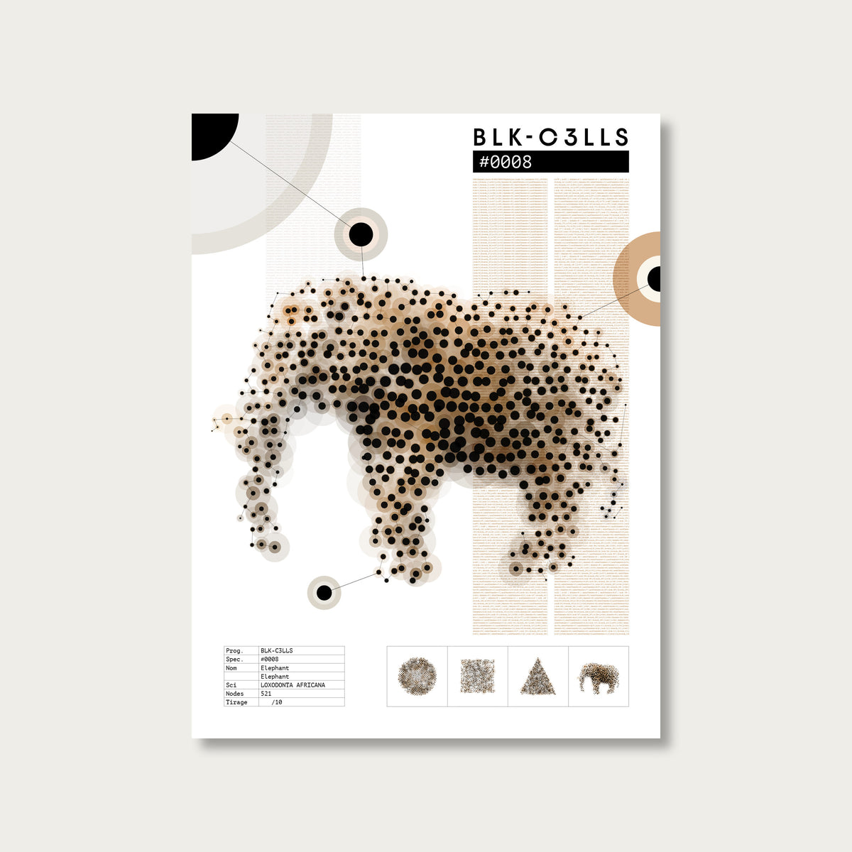 0008 elephant - Planche de specimen 60x80/90x120 - image variante
