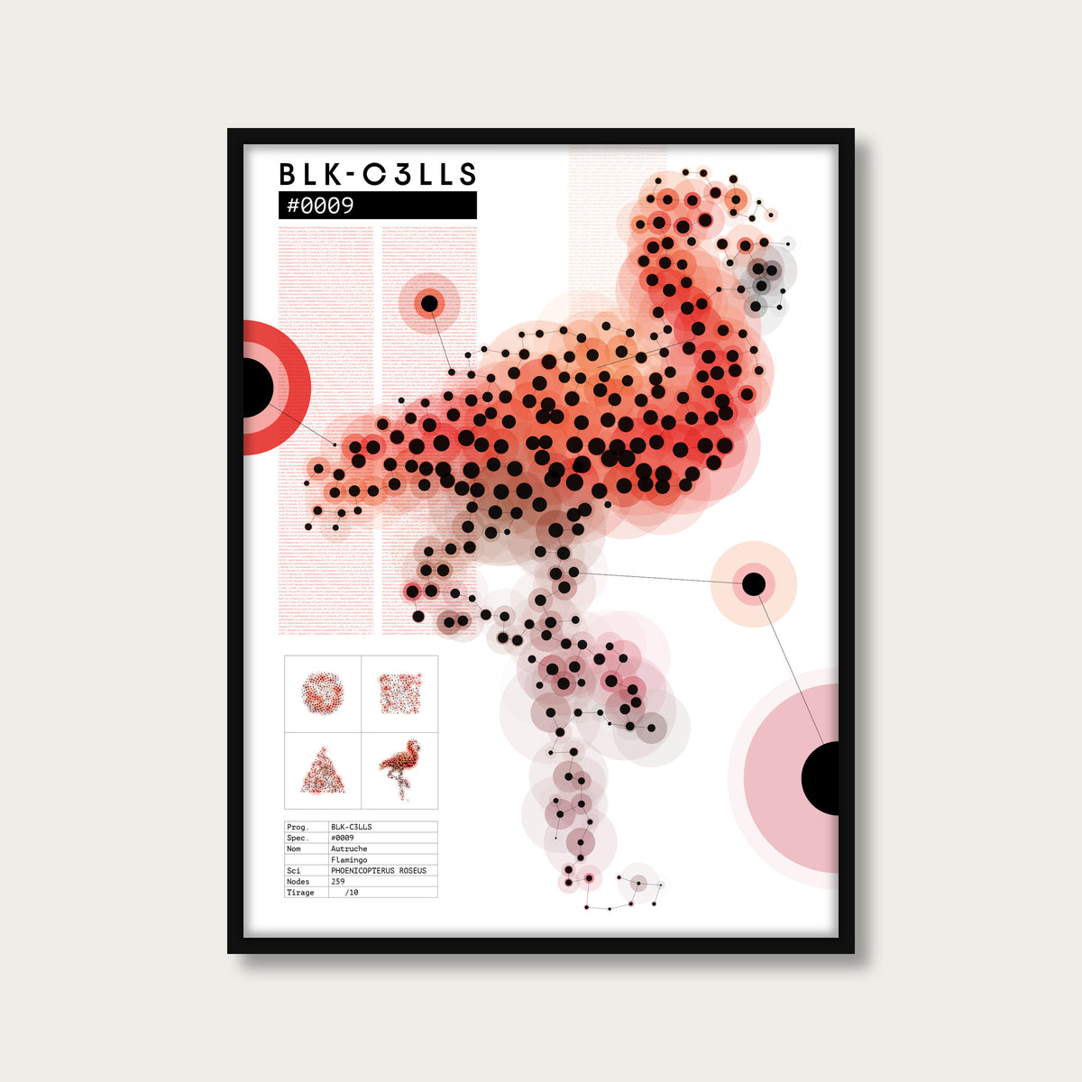 0009 flamand-rose - Planche de specimen - mockup cadre