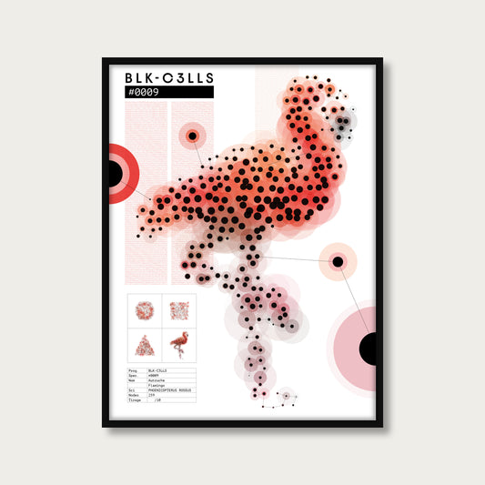 0009 flamand-rose - Planche de specimen - mockup cadre