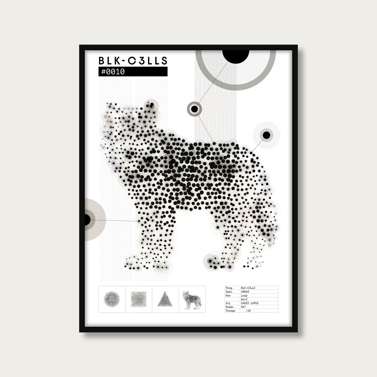 0010 loup - Planche de specimen - mockup cadre