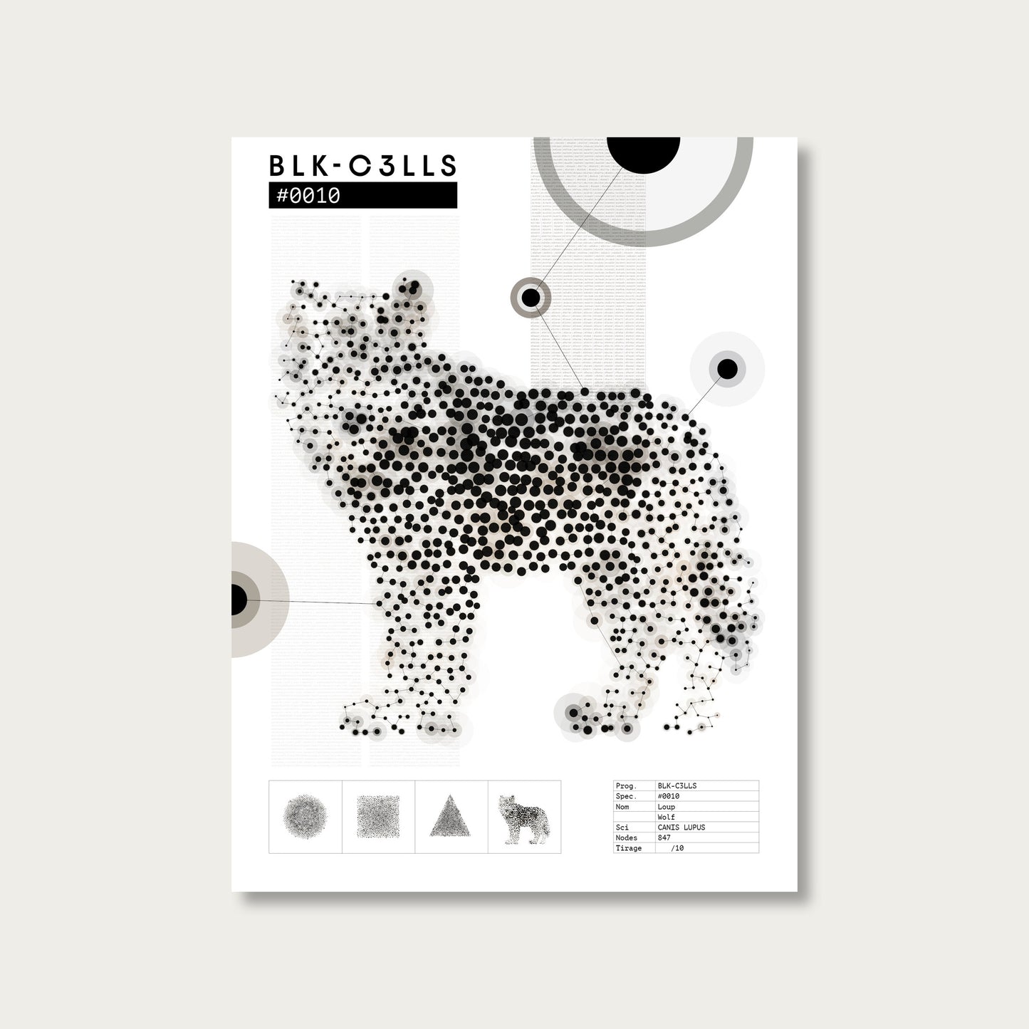 0010 loup - Planche de specimen 60x80/90x120 - image variante