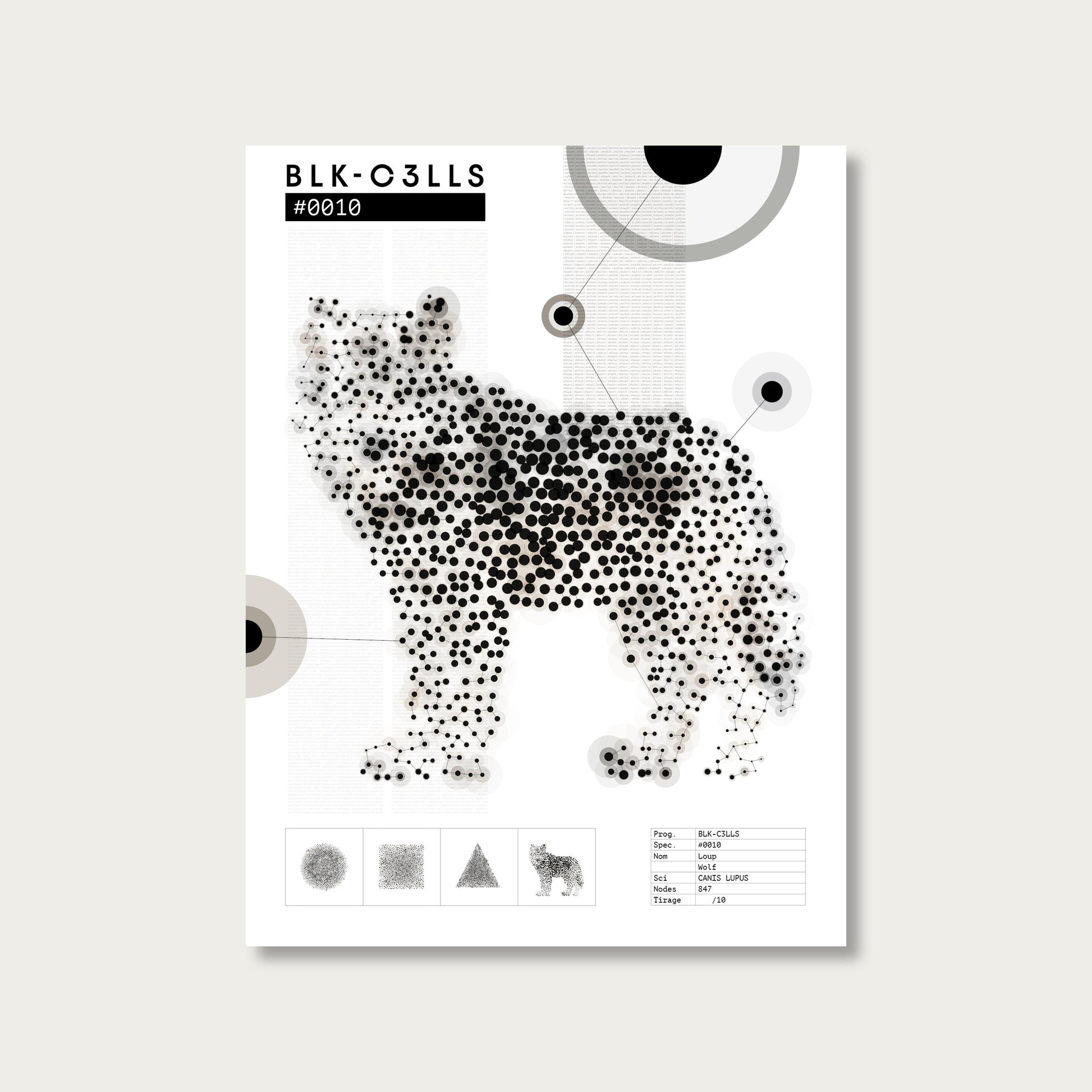 0010 loup - Planche de specimen 60x80/90x120 - image variante