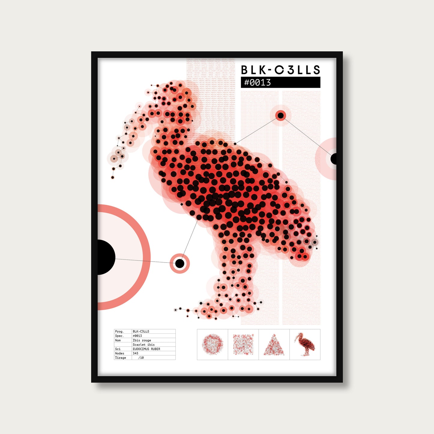 0013 ibis-rouge - Planche de specimen - mockup cadre