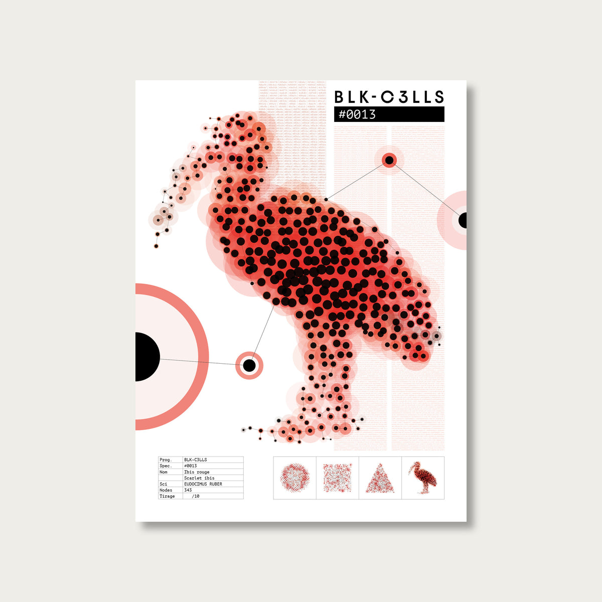 0013 ibis-rouge - Planche de specimen 60x80/90x120 - image variante