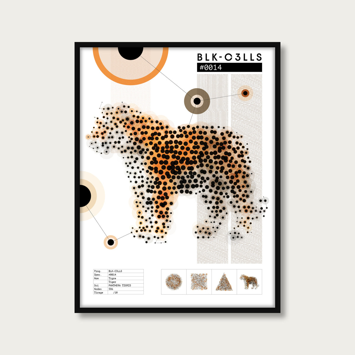 0014 tigre - Planche de specimen - mockup cadre