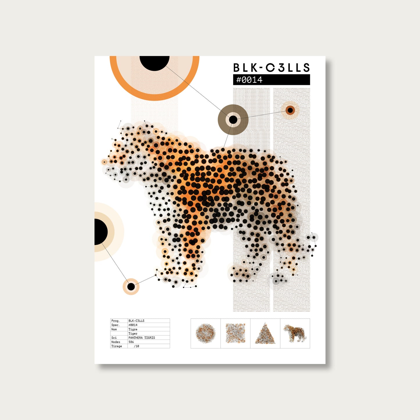 0014 tigre - Planche de specimen 60x80/90x120 - image variante