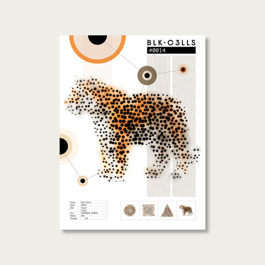 0014 tigre - Planche de specimen 60x80/90x120 - image variante