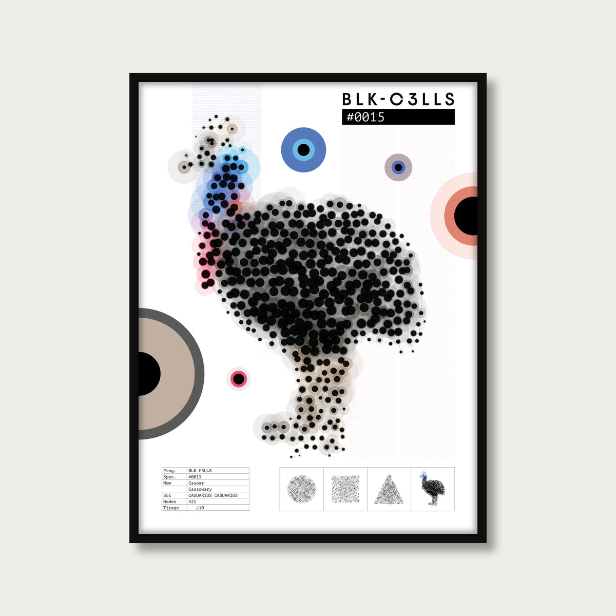 0015 casoar - Planche de specimen - mockup cadre