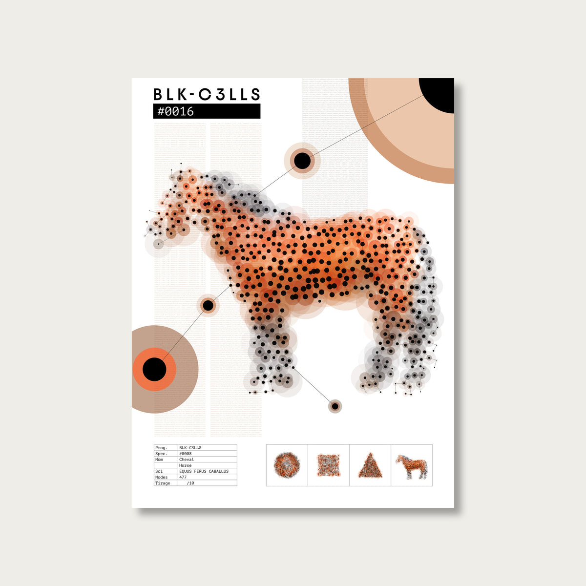 0016 cheval - Planche de specimen 60x80/90x120 - image variante