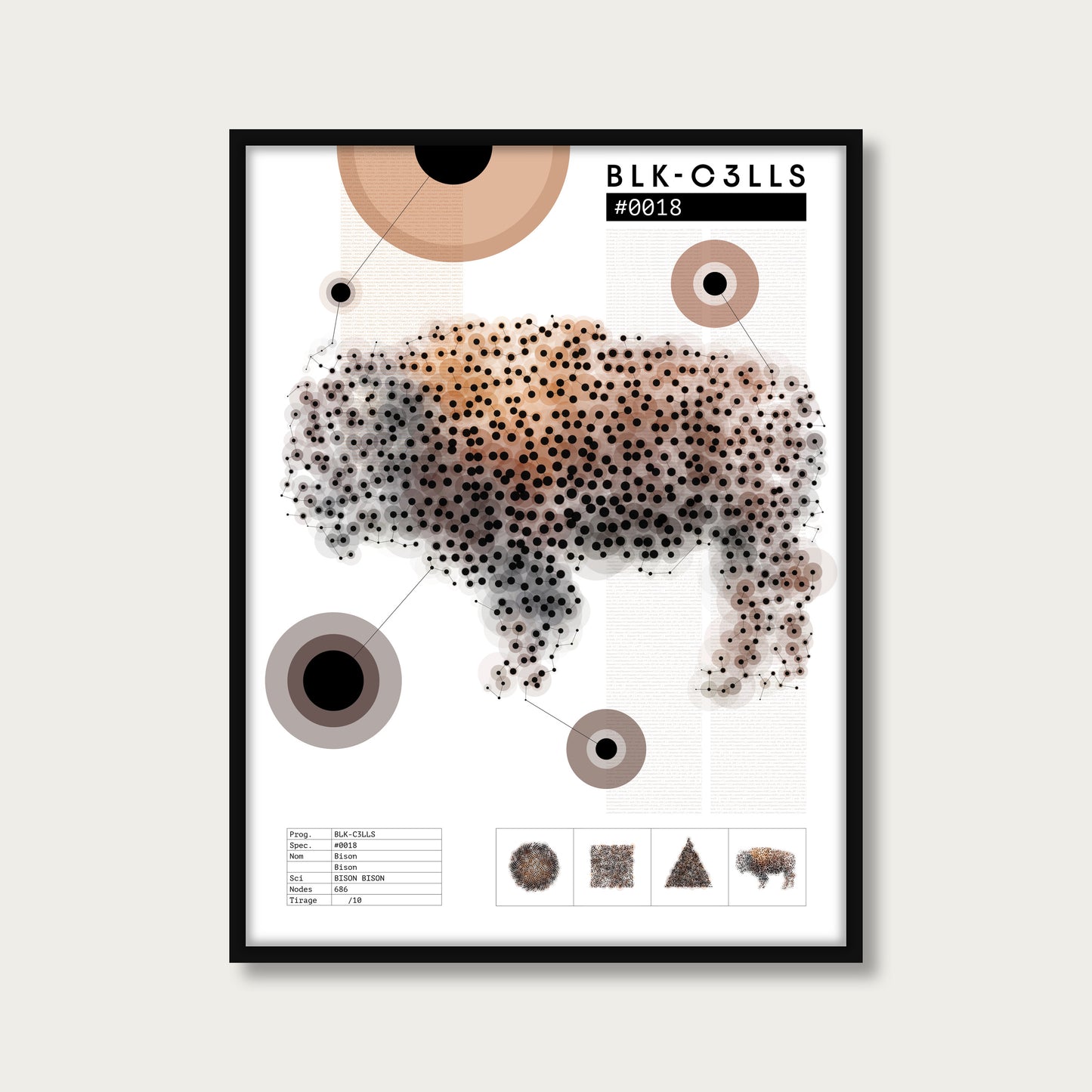 0018 bison - Planche de specimen - mockup cadre