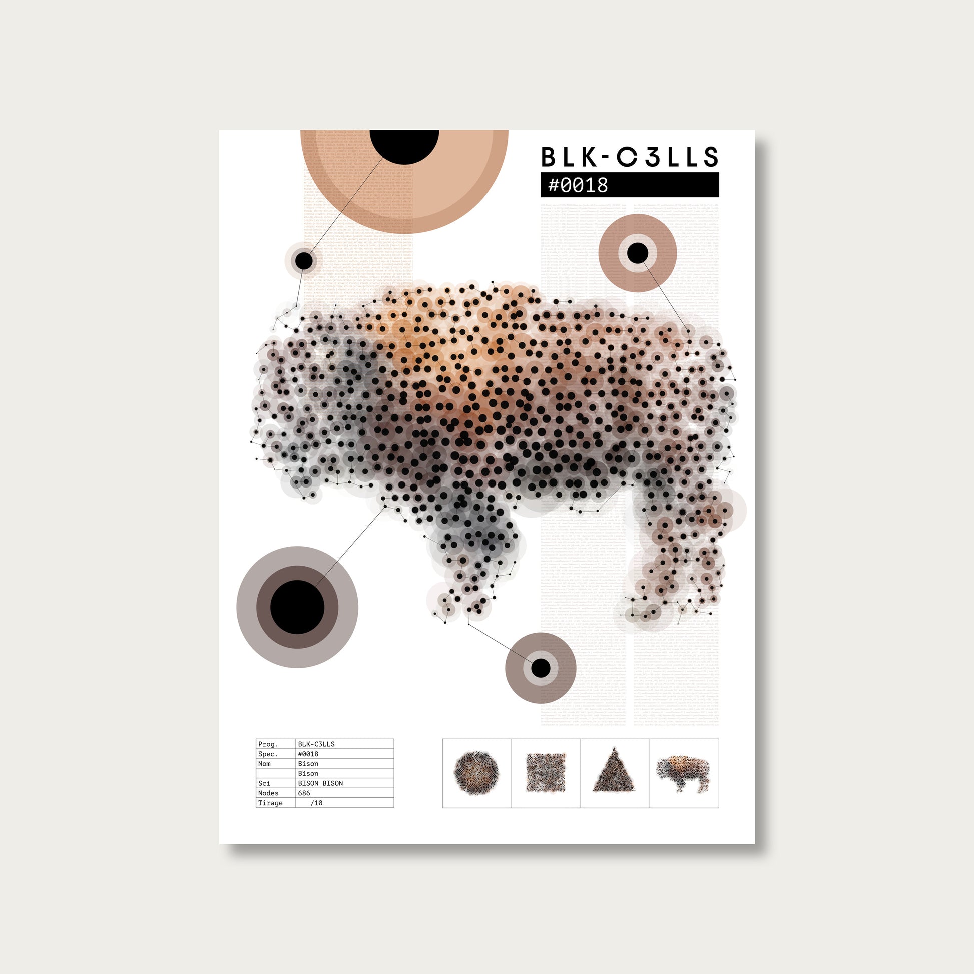 0018 bison - Planche de specimen 60x80/90x120 - image variante