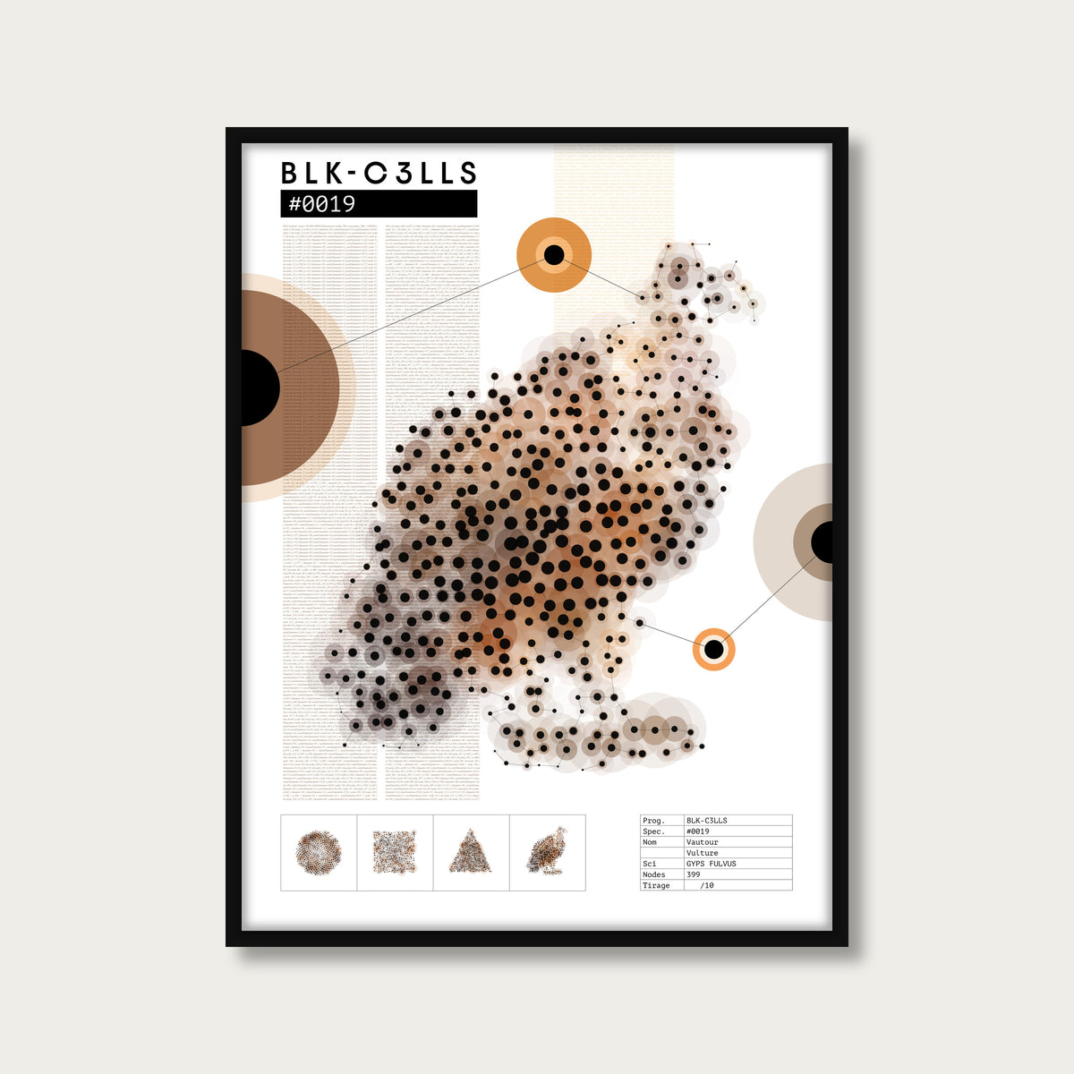 0019 vautour - Planche de specimen - mockup cadre