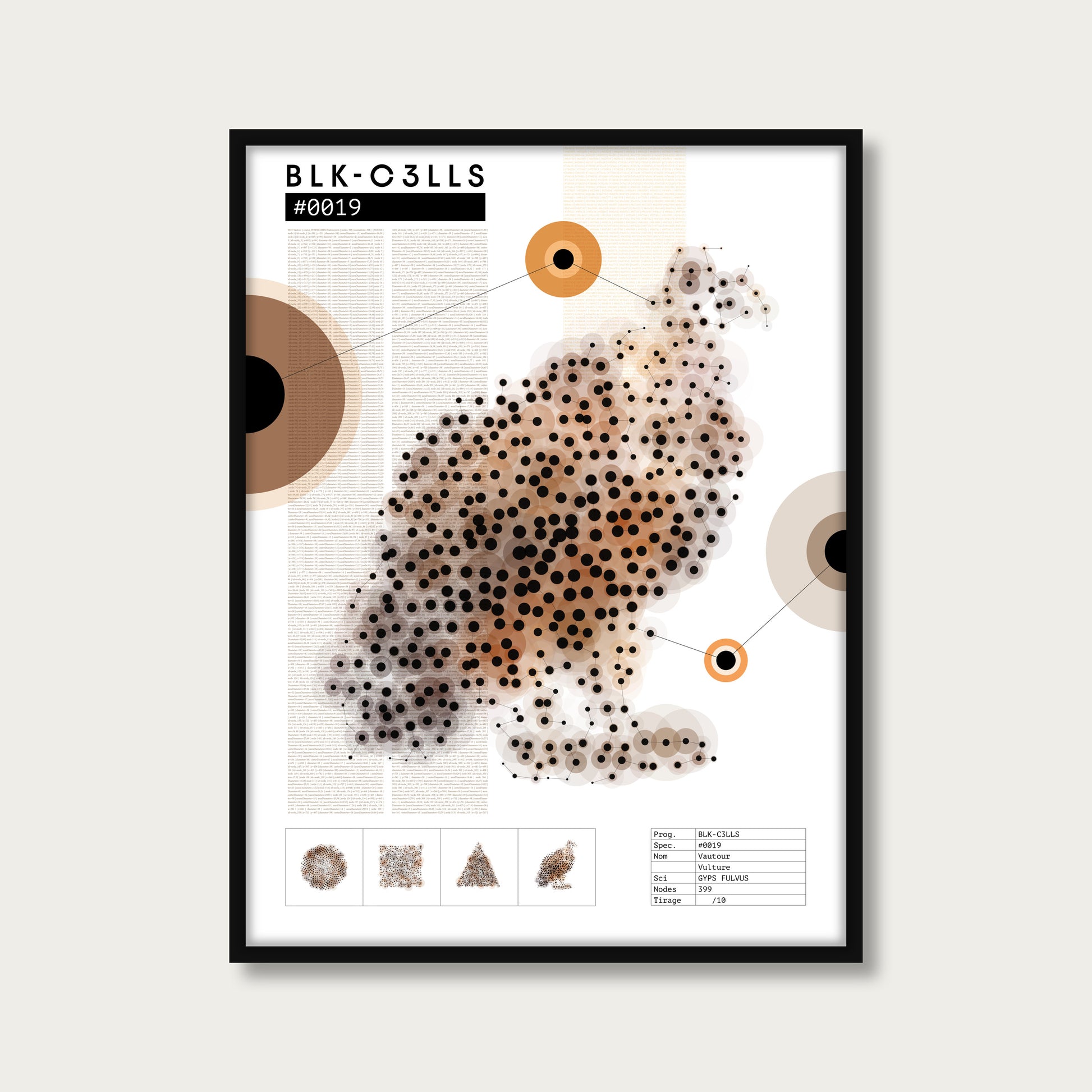 0019 vautour - Planche de specimen - mockup cadre