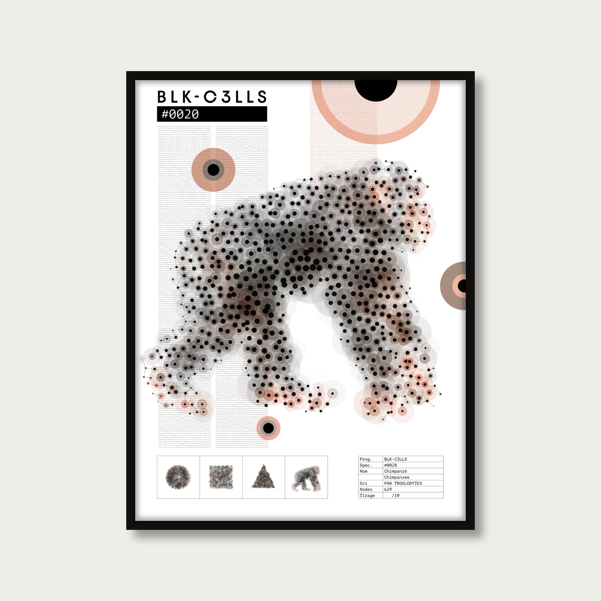 0020 chimpanze - Planche de specimen - mockup cadre