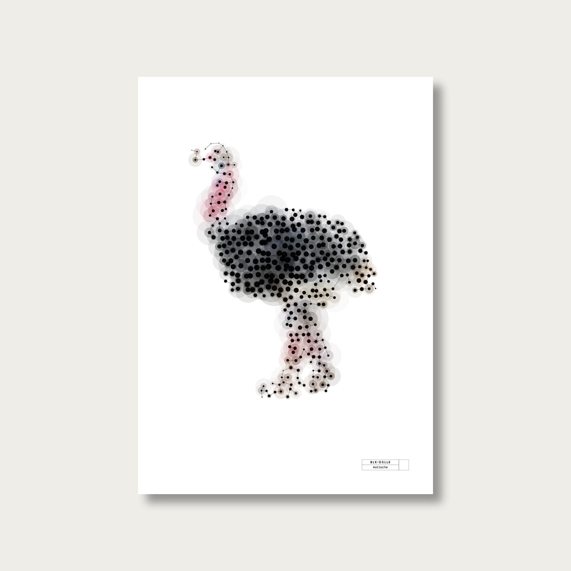 BLK-C3LLS-Autruche - mockup sans cadre