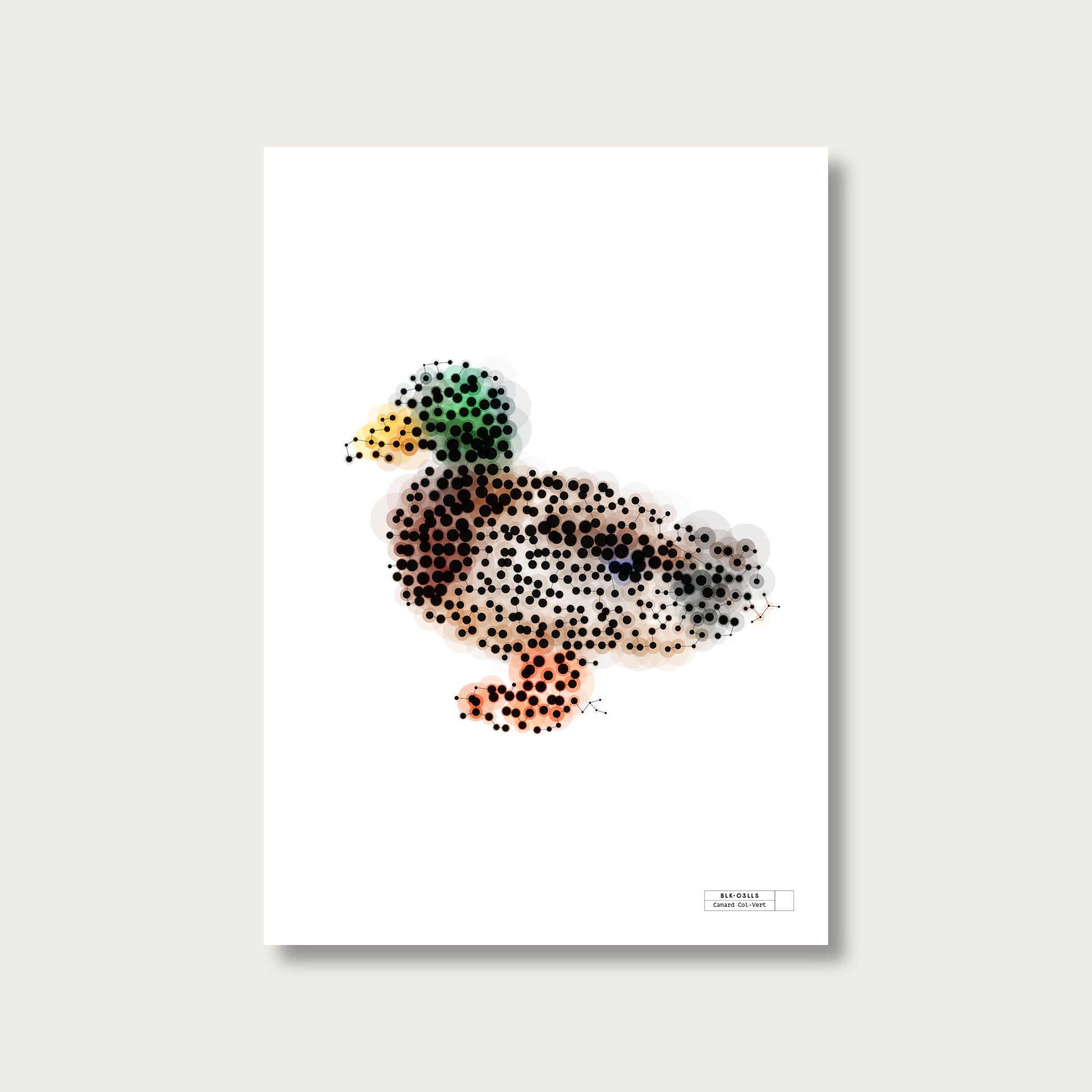 BLK-C3LLS-Canard - mockup sans cadre