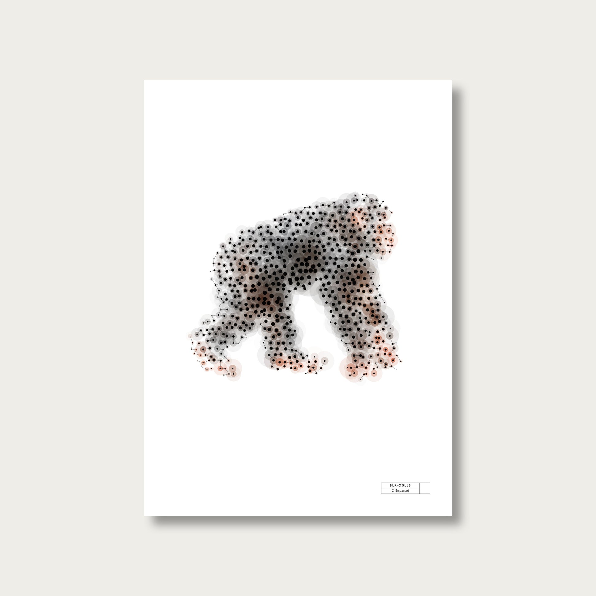 BLK-C3LLS-Chimpanze - mockup sans cadre