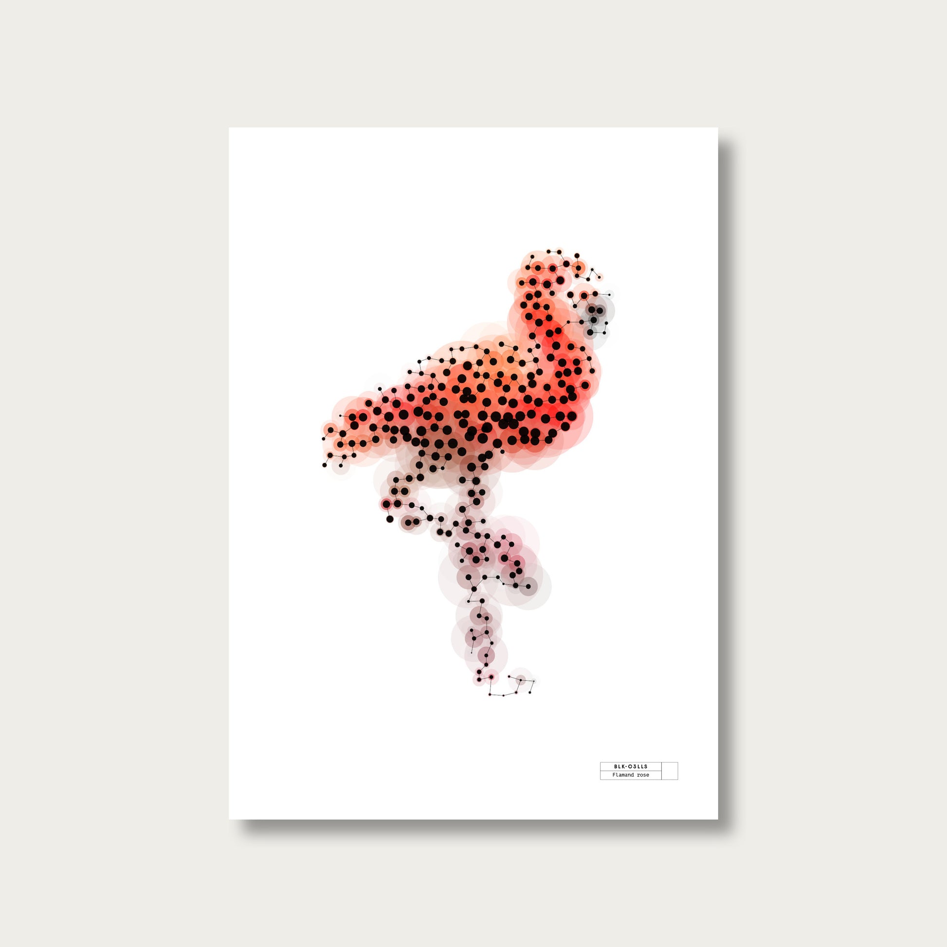 BLK-C3LLS-Flamand-rose - mockup sans cadre