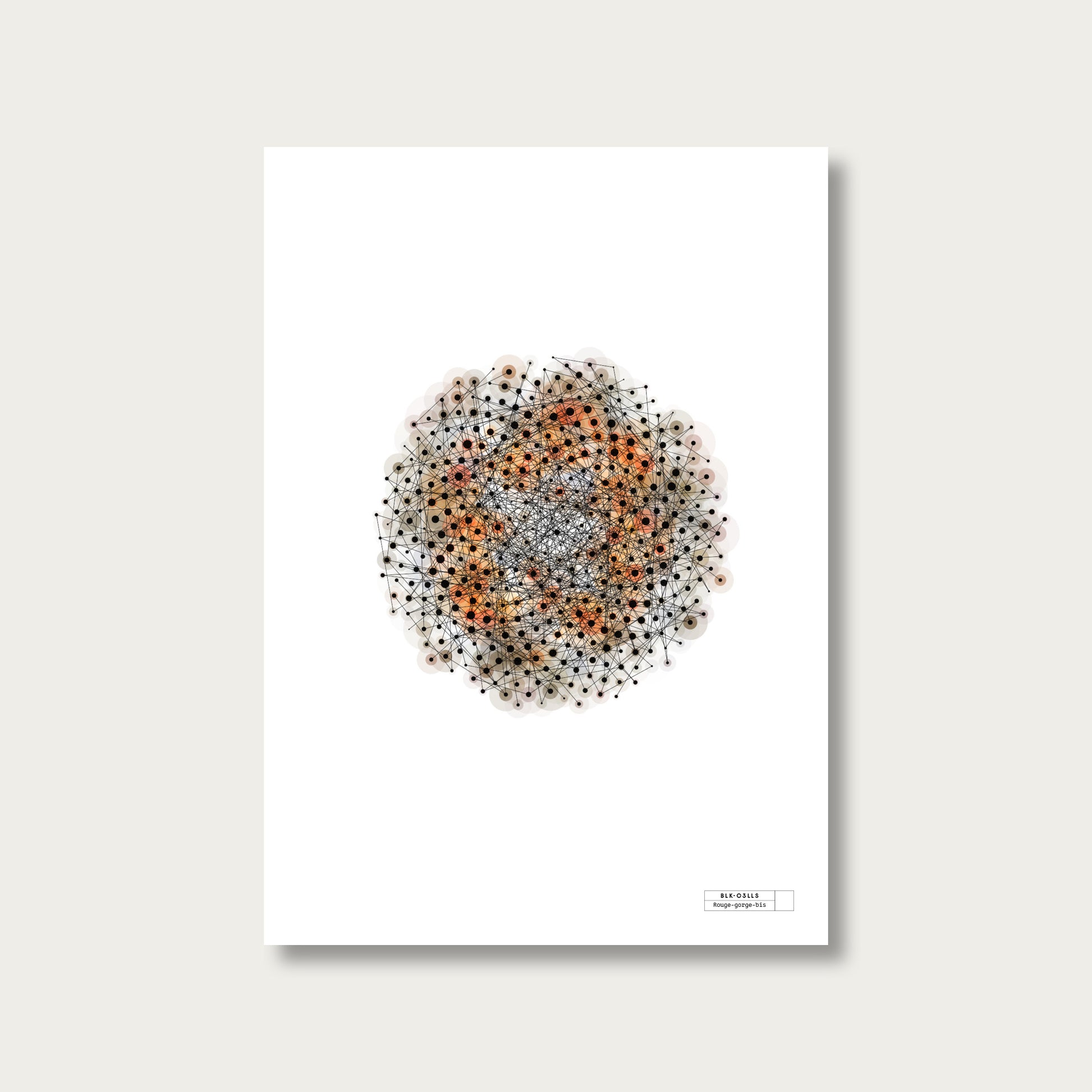 BLK-C3LLS-Rouge-gorge-bis - mockup sans cadre