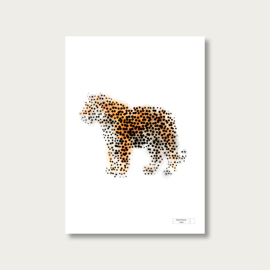 BLK-C3LLS-Tigre - mockup sans cadre
