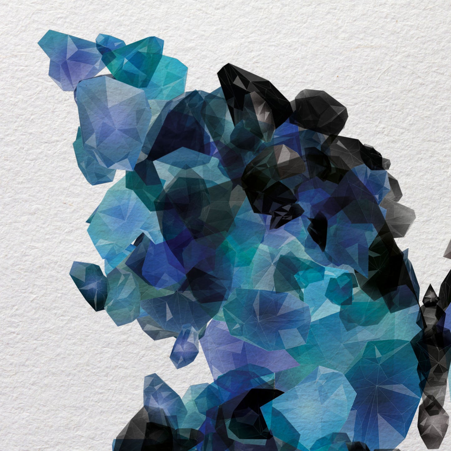 CR1 - Animaux précieux - Morpho