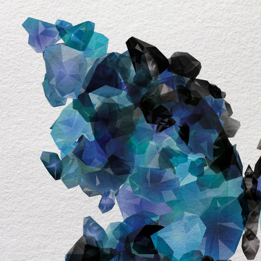 CR1 - Animaux précieux - Morpho